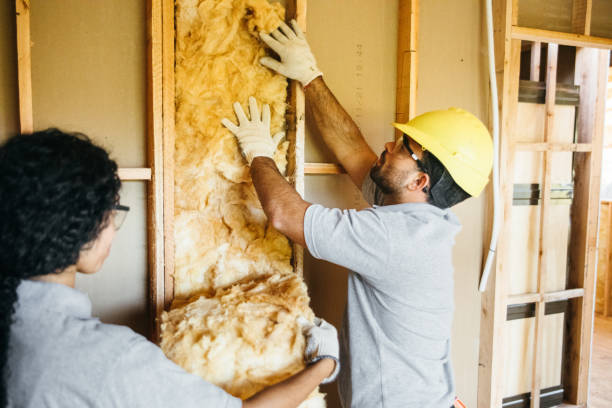 Best Batt and Roll Insulation  in Rendon, TX